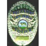 SAN PEDRO, CA POLICE DEPARMENT POLICEMAN BADGE PIN